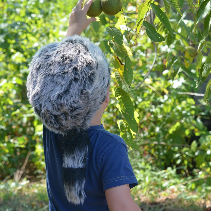 GRAY COONSKIN CAP